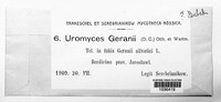 Uromyces geranii image